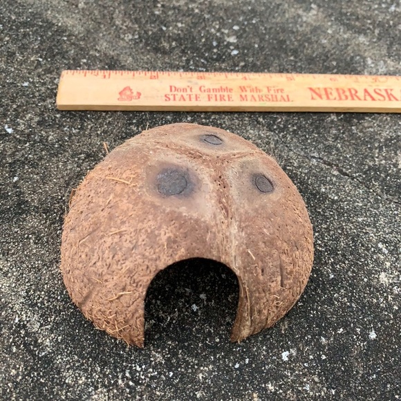 Reptile Reptileamphibian Coconut Hide Small Poshmark